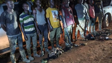 Ten armed men arrested