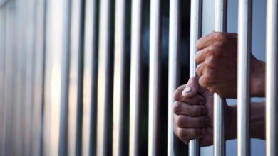 Close-up of a person's hands gripping vertical metal bars.