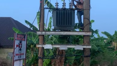 A worker stands on a utility pole beside an electrical transformer in a leafy residential area.