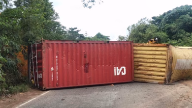 Two shipping containers lie overturned across a paved road bordered by dense trees and vegetation.
