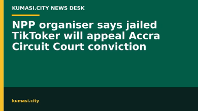NPP organiser says jailed TikToker will appeal Accra Circuit Court conviction